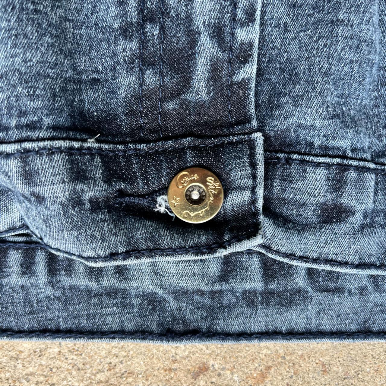 Diane Gilman Stretchy Jeans with Shiny Detailing [16W]